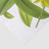  geel orchidee bloemenpapier tissuepapier (Detail)