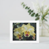 Geel orchidee briefkaart (Staand voorkant)