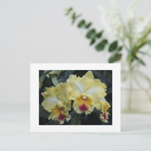 Geel orchidee briefkaart (Staand voorkant)
