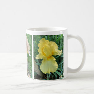 Geel Paars Roze Iris Elegant Foto Mok