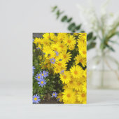 Geel & Paarse Daisies Briefkaart (Staand voorkant)