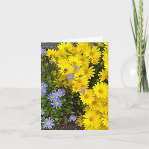 Geel & Paarse Daisies Gepersonaliseerd Wenskaart Kaart