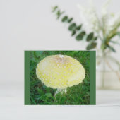 Geel paddenstoelBriefkaart #3 Briefkaart (Staand voorkant)