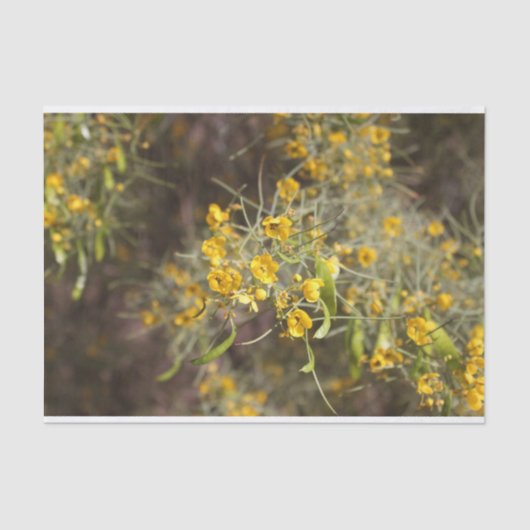 Geel papier voor bloemen (Voorkant)