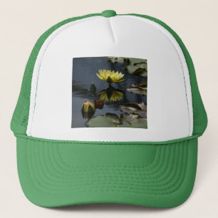 Geel Pet Lotus Waterlilies
