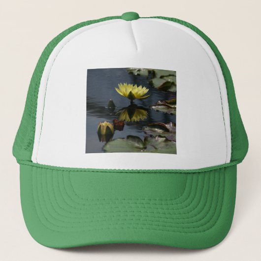 Geel Pet Lotus Waterlilies (Voorkant)