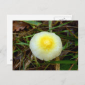 Geel Pet paddenstoel Briefkaart (Voorkant / Achterkant)