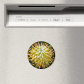 Geel Pin Kussen Protea Bloemmagneet Magneet (Insitu (Vaatwasser))