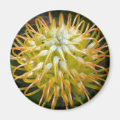 Geel Pin Kussen Protea Bloemmagneet Magneet (Voorkant)