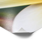 Geel plunjessventilator Frangipani Foto Afdruk (Hoek)