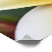 Geel plunjessventilator Frangipani Poster (Hoek)