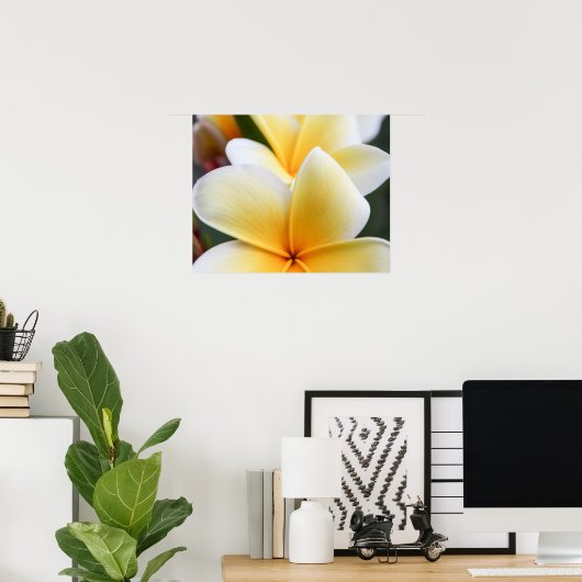 Geel plunjessventilator Frangipani Poster (Thuiskantoor)