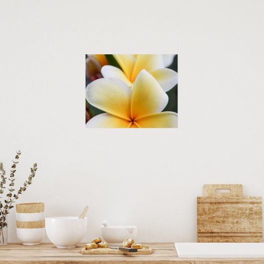 Geel plunjessventilator Frangipani Poster (Keuken)