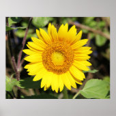 Geel Poster (Voorkant)