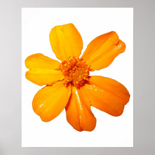 Geel Poster (Voorkant)