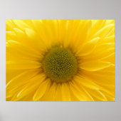 Geel Poster (Voorkant)