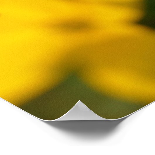 Geel Poster (Hoek)