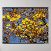 Geel Poster (Voorkant)