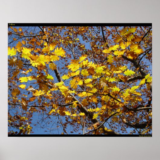 Geel Poster (Voorkant)