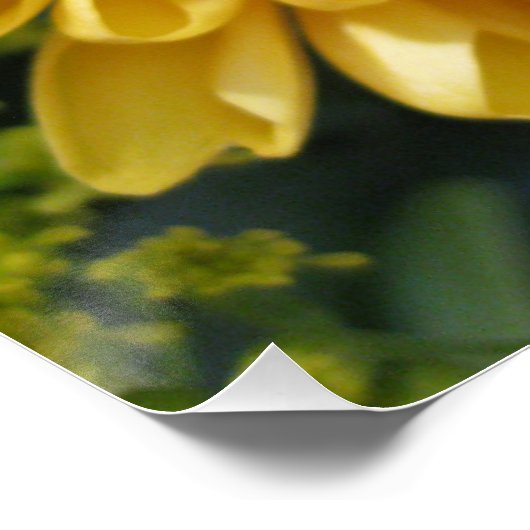 Geel Poster afdrukken (Hoek)