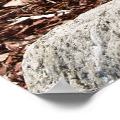 Geel Poster Daffodils (Hoek)