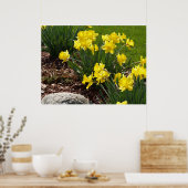 Geel Poster Daffodils (Keuken)