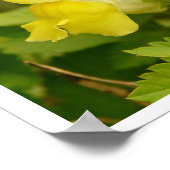 Geel Poster Snapdragons (Hoek)