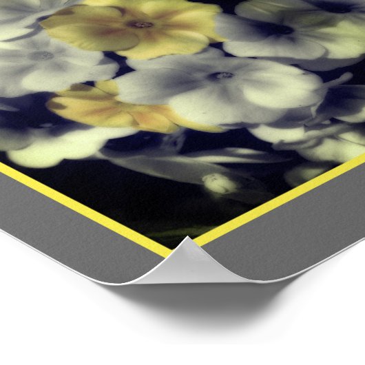 Geel Primrose Flower Partiële kleur Abstract Poster (Hoek)