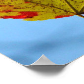 Geel rood esdoornblad Poster (Hoek)