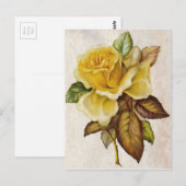Geel  Roos Briefkaart (Voorkant / Achterkant)