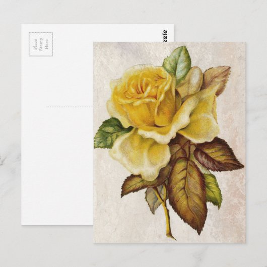 Geel  Roos Briefkaart (Voorkant / Achterkant)