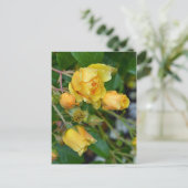Geel roos briefkaart florale afdruk (Staand voorkant)