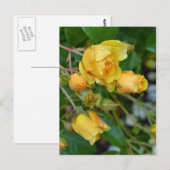 Geel roos briefkaart florale afdruk (Voorkant / Achterkant)