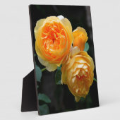 Geel Roos Fotoplaat (Zijkant)