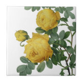  geel roos schilderij tegeltje (Voorkant)