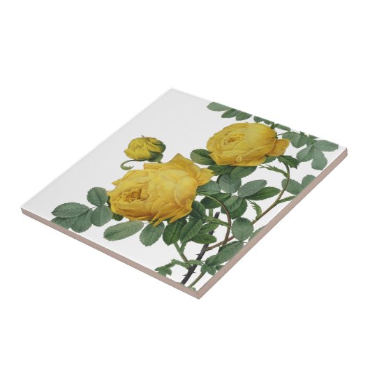  geel roos schilderij tegeltje (Zijkant)