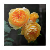 Geel Roos Tegeltje (Voorkant)