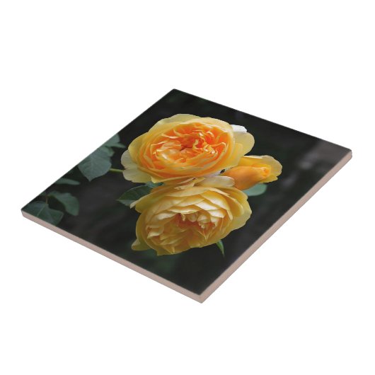 Geel Roos Tegeltje (Zijkant)