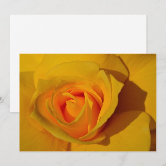 Geel Rose sinaasappel roos romantisch roos Kaart (Voorkant / Achterkant)