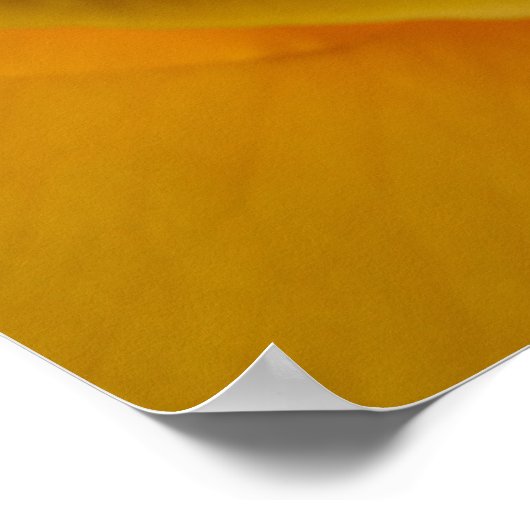 Geel Rose sinaasappel roos romantisch roos Poster (Hoek)