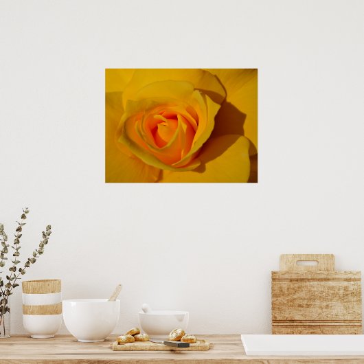 Geel Rose sinaasappel roos romantisch roos Poster (Keuken)