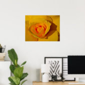 Geel Rose sinaasappel roos romantisch roos Poster (Thuiskantoor)