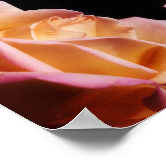 Geel Rosebud Flower Abstract getint Poster (Hoek)
