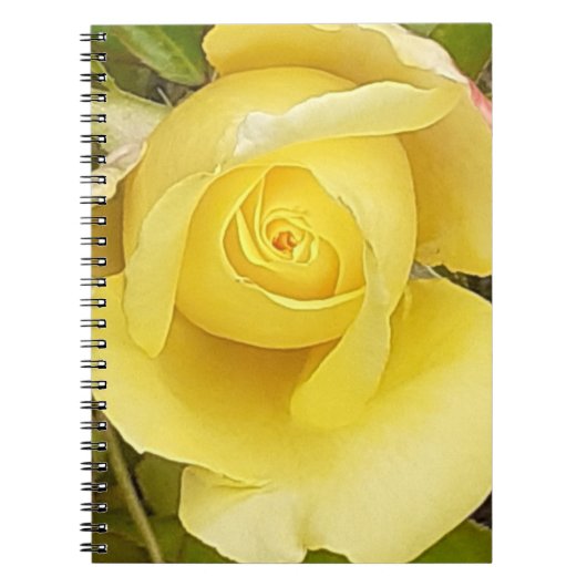 Geel Rosebud Spiraal Notitieboek (Voorkant)