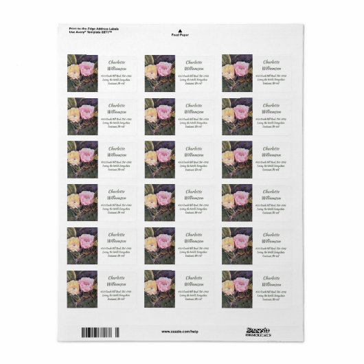Geel Roze Cactus Flowers in Waterverf Address Etiket (Full Sheet)