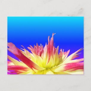 Geel Roze Dahlia Blauw BG Kleur DIY Briefkaart