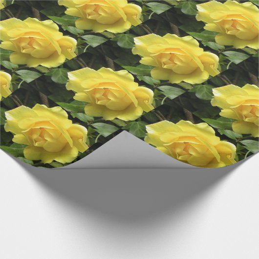 Geel roze papier voor aangepaste opvulling (Hoek)