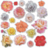 Geel Roze Rood Sinaasappel Knipsel Roos Foto's Sticker (Voorkant)