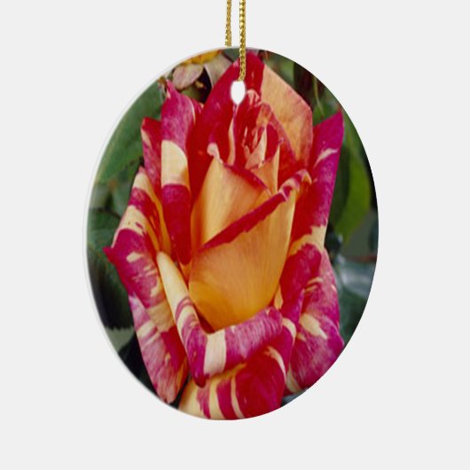 Geel Roze Roses Ornament (Rechts)