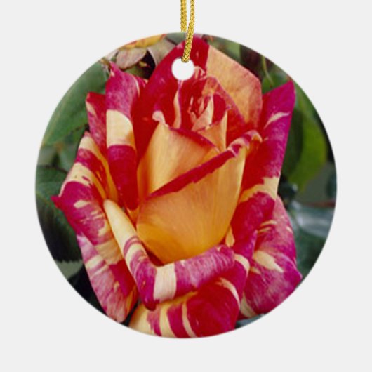 Geel Roze Roses Ornament (Voorkant)